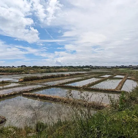 Semesterbostad Charmante Maison Familiale Au Pouliguen Le Pouliguen
